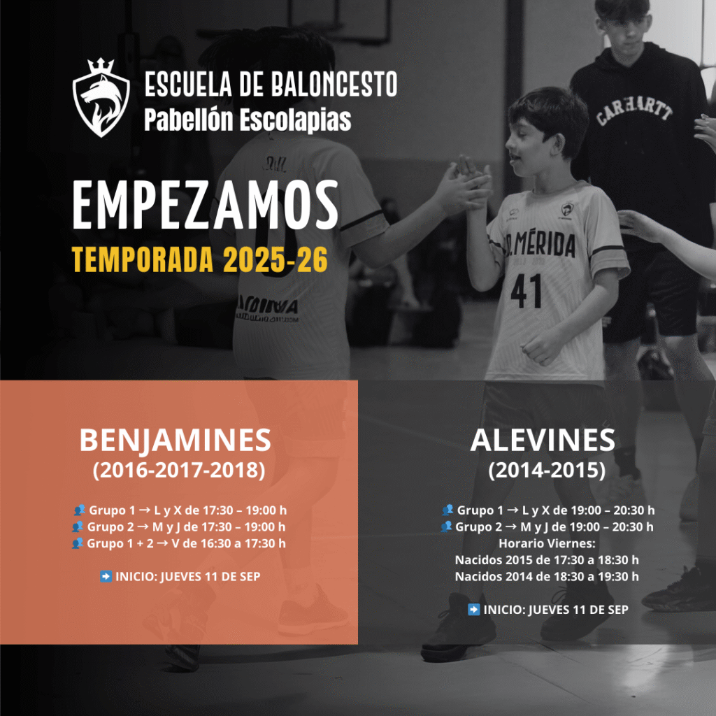 inicnio-web-2