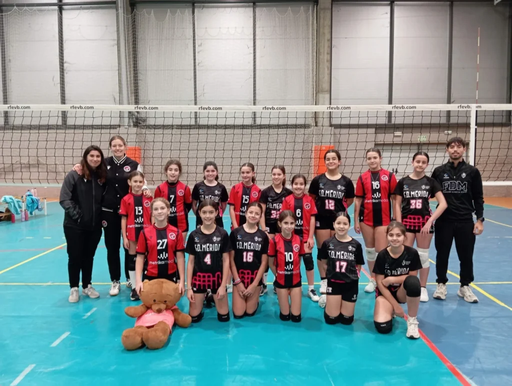 voleibol
